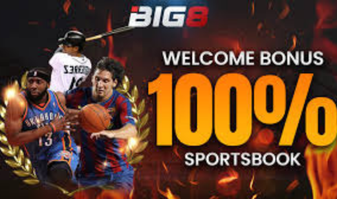Cricket Fever: Your Gateway to Interactive Sports Engagement