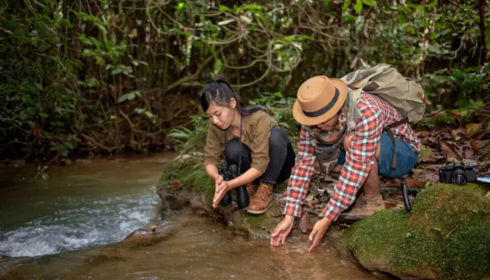 Discover the Magic of the Mangroves: Your Ultimate Sundarban Tour Package Guide