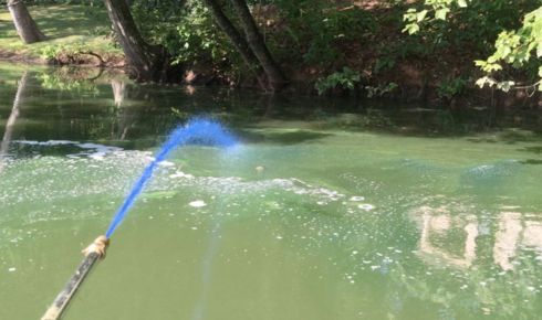 When a Pond Turns Green: A Practical Guide to Restoring Clear, Healthy Water