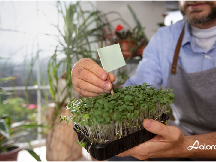 Discover the Best Seed Mixes to Support Your Training!