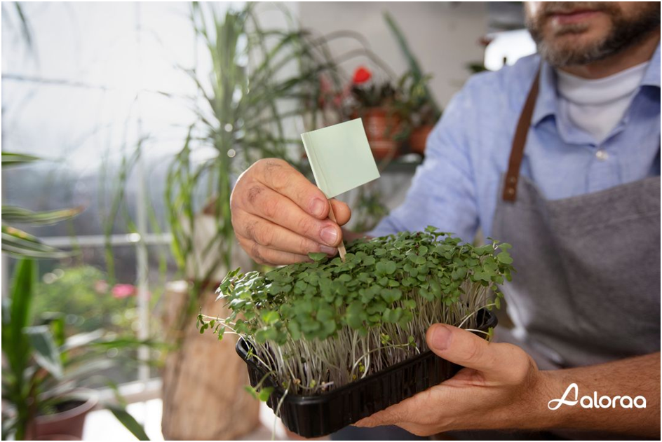 Discover the Best Seed Mixes to Support Your Training!